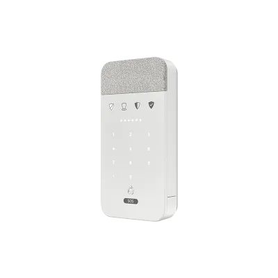 Caméra de surveillance