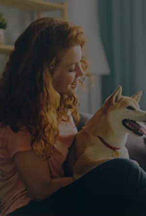 Contre les intrusions dès le jardin