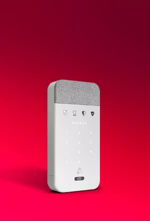 Contre les intrusions dès le jardin